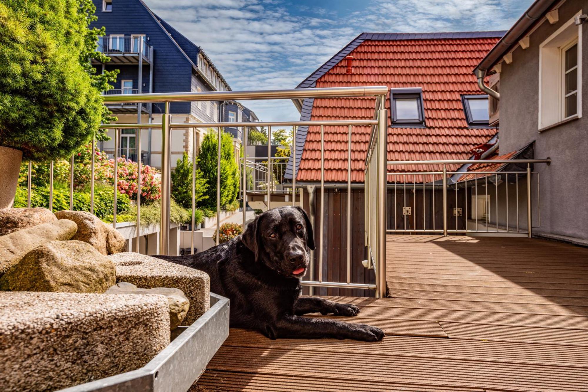 City-Appartements Am Wall Goslar Exterior foto