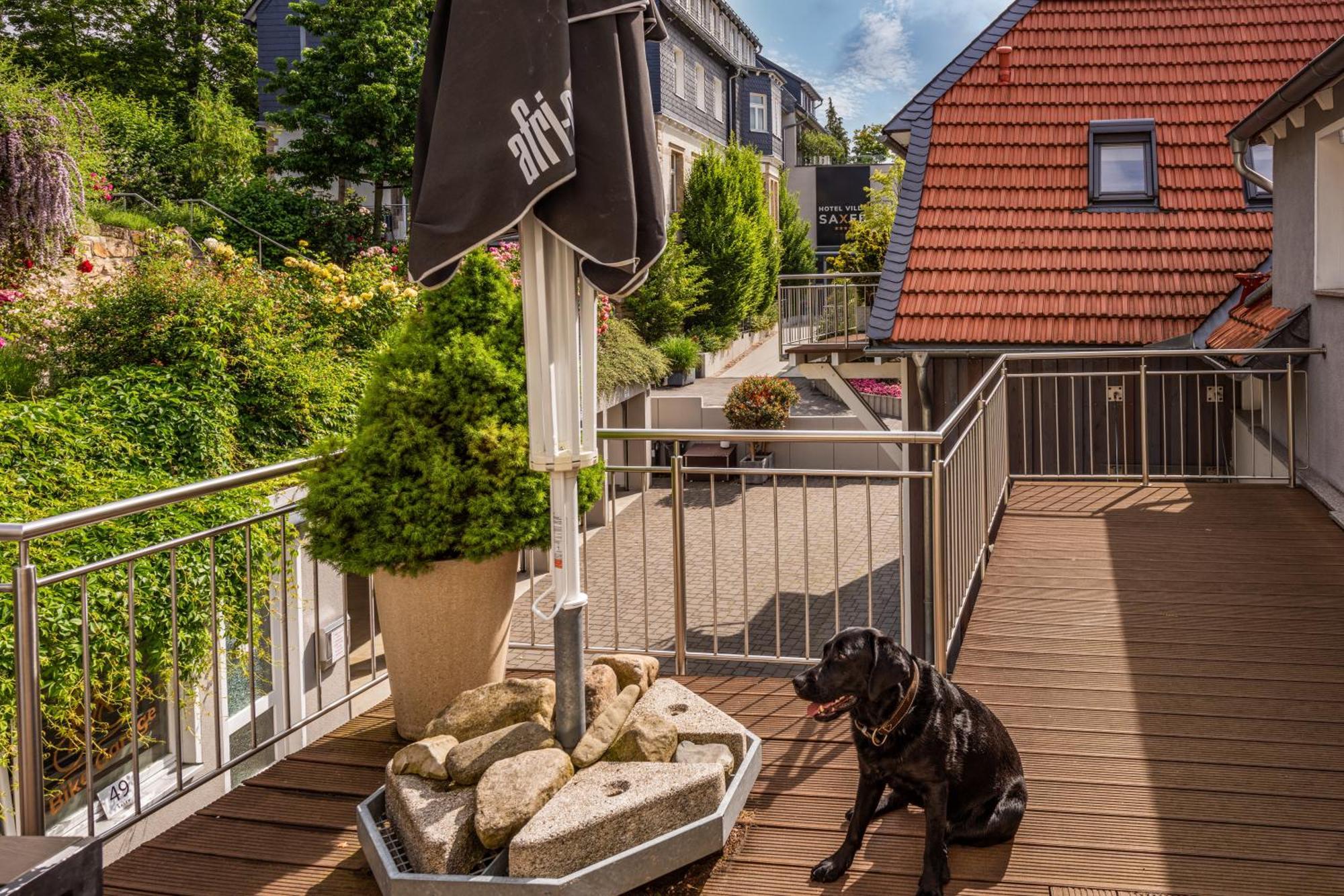 City-Appartements Am Wall Goslar Exterior foto